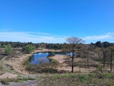 Duvelskuul Maasduinen