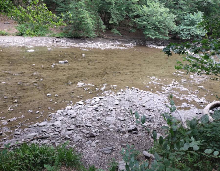 ourthe-260726.s640.jpg